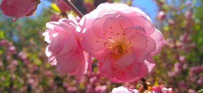 Прикрепленное изображение: prIMG_20220424_115147.jpg